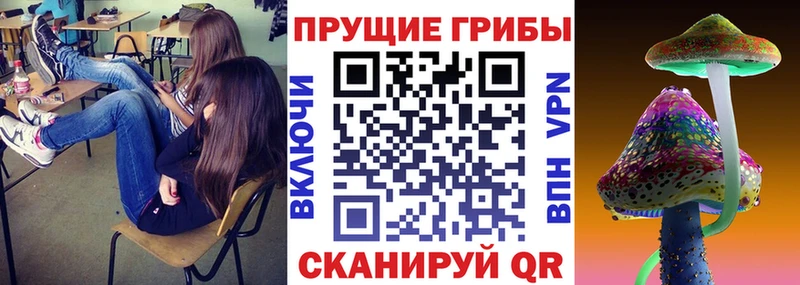 Галлюциногенные грибы мицелий  Рузаевка 